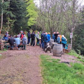 Wanderung zum Rotweinbänkle mit Weinverkostung