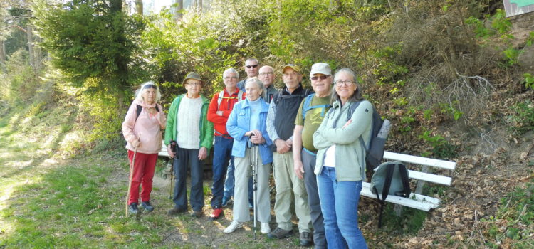 Wanderung auf dem südlichen Teil des Panoramawegs