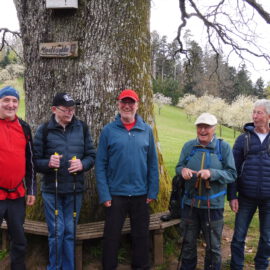 Wanderung auf dem Hansjakobweg III