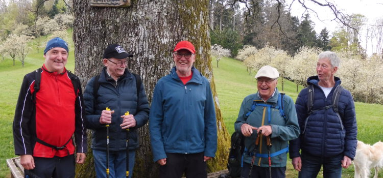 Wanderung auf dem Hansjakobweg III