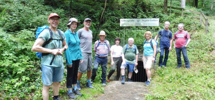 Haslacher Schwarzwaldverein wandert an den Hängen von Fischerbach und Schnellingen
