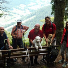 Haslacher Schwarzwaldverein wandert im Somonswälder Tal