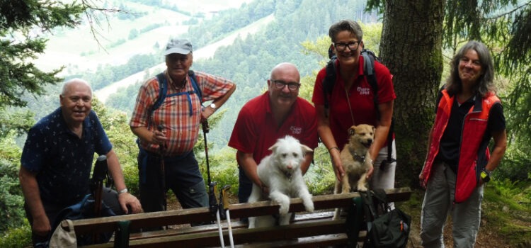 Haslacher Schwarzwaldverein wandert im Somonswälder Tal