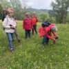 Orchideen-Wanderung